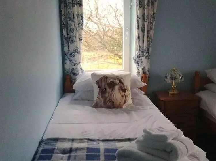 Aamiaismajoitus (B&B) Ty Newydd