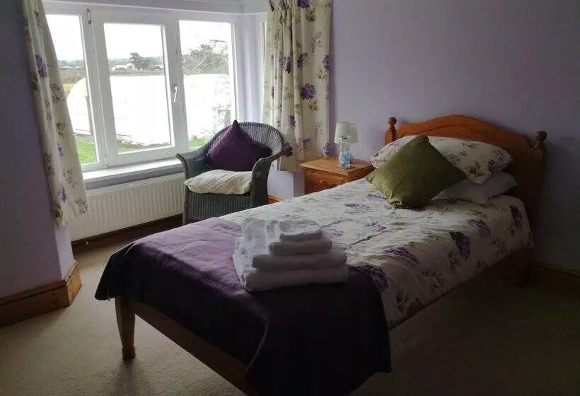 Aamiaismajoitus (B&B) Ty Newydd