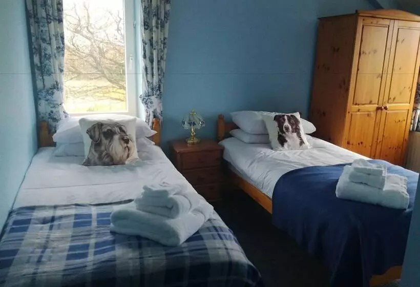 Aamiaismajoitus (B&B) Ty Newydd