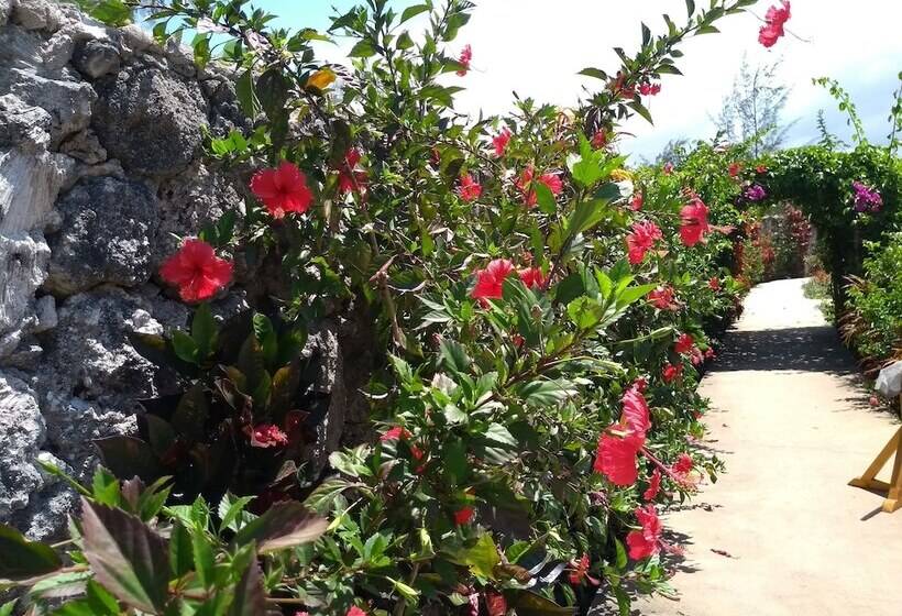 فندق Marafiki Bungalows