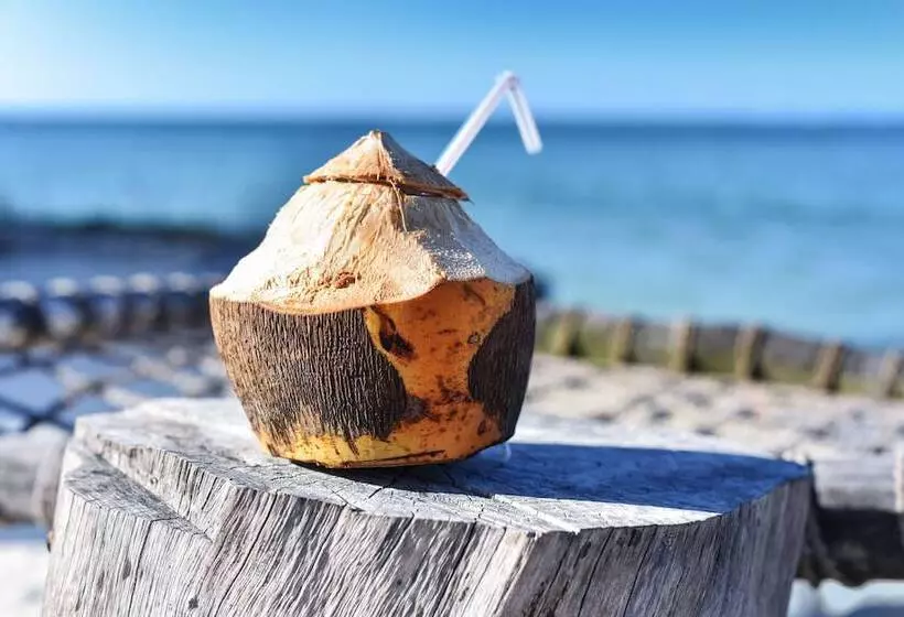 Hotelli Marafiki Bungalows