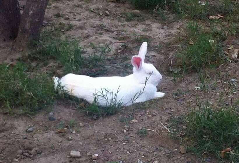 בית מלון כפרי Ona Keyf