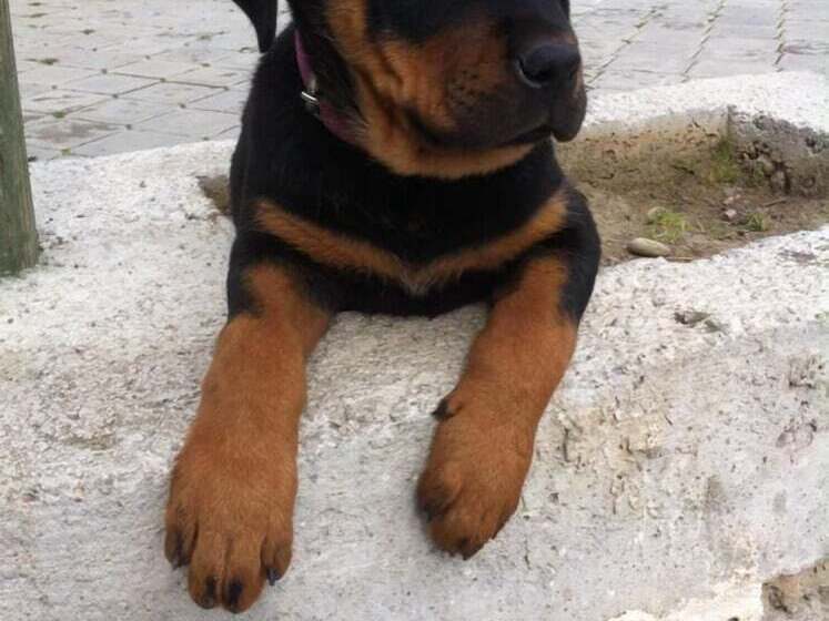 בית מלון כפרי Ona Keyf