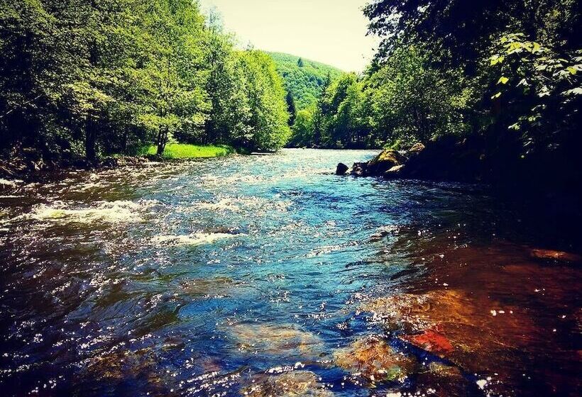 פנסיון Villa Colombier