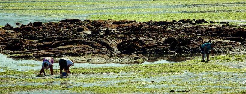 Apartamentos Villa Zoila Baiona