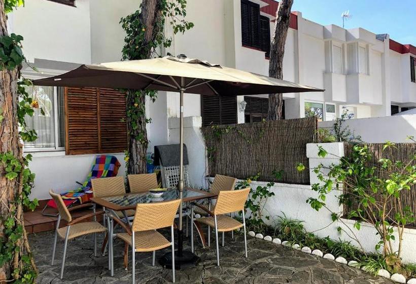 تختخواب و صبحانه Raices Del Sur