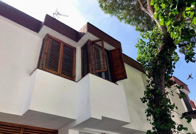 تختخواب و صبحانه Raices Del Sur