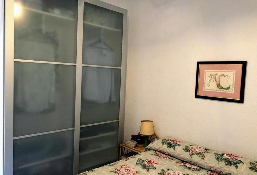 تختخواب و صبحانه Raices Del Sur