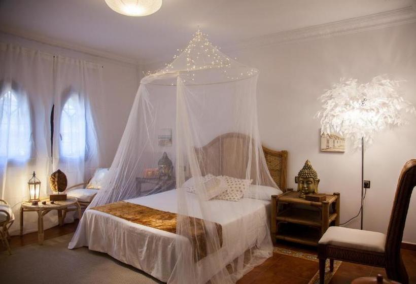 تختخواب و صبحانه Raices Del Sur