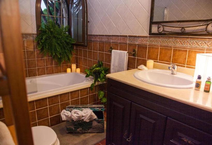 تختخواب و صبحانه Raices Del Sur