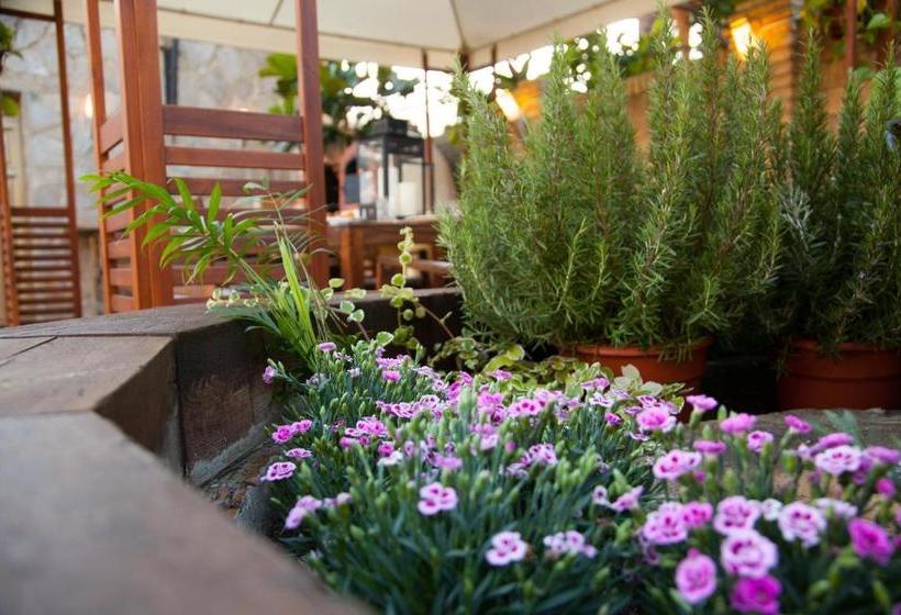 تختخواب و صبحانه Raices Del Sur