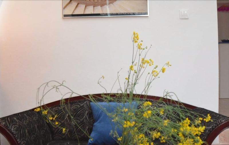 El Almendro Y La Montana