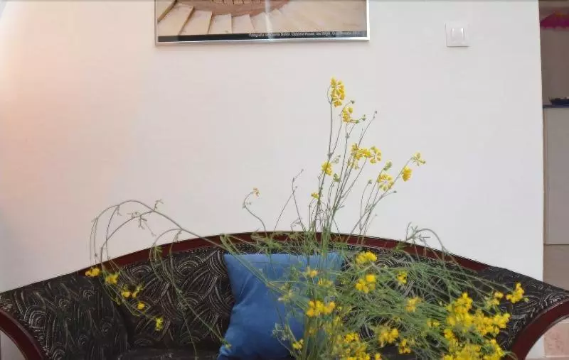 El Almendro Y La Montana