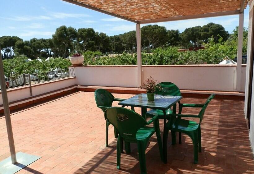 בית מלון כפרי Camping Clarà