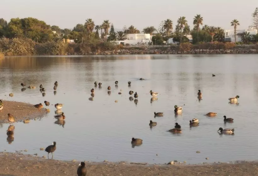 Hotelli Taiga Almeria Playa