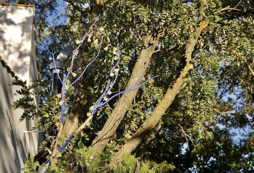 酒店 Casa Rural La Jara