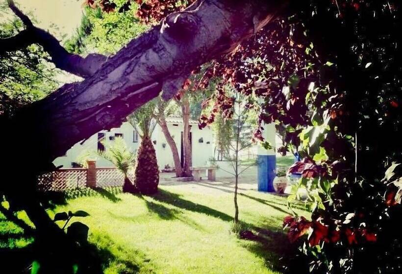 酒店 Casa Rural La Jara