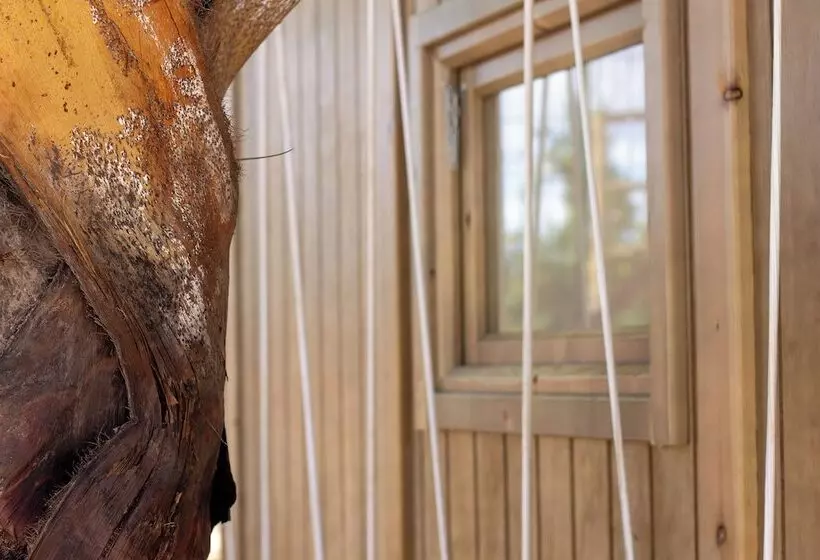 Hotelli Taiga Almeria Playa