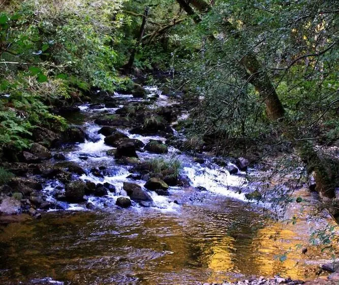 Majatalo Casa Rural A Cobacha