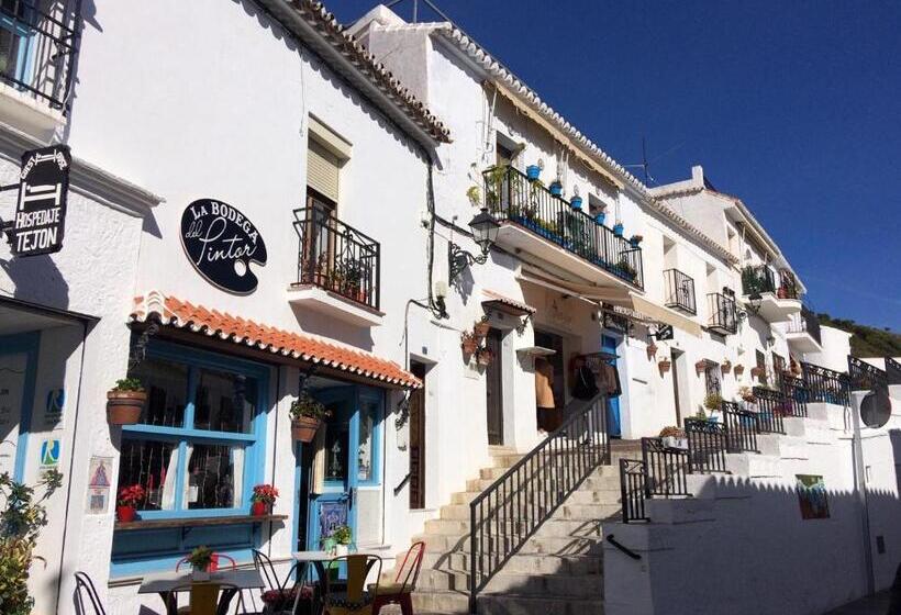 פנסיון Villa Fenavista