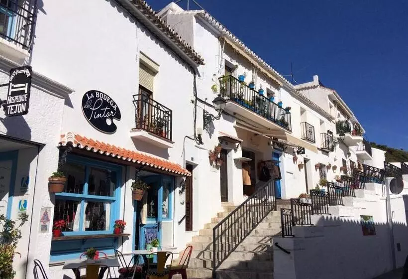 Majatalo Villa Fenavista