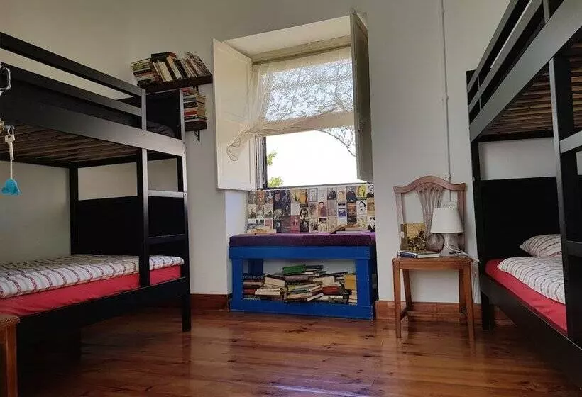 Retkeilymaja Ratones De Biblioteca