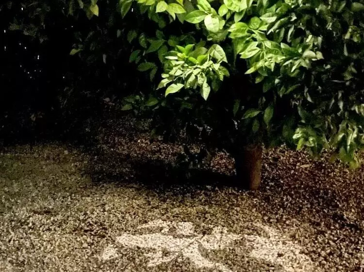 ベッドアンドブレックファースト Casa Baliza, Adults Only