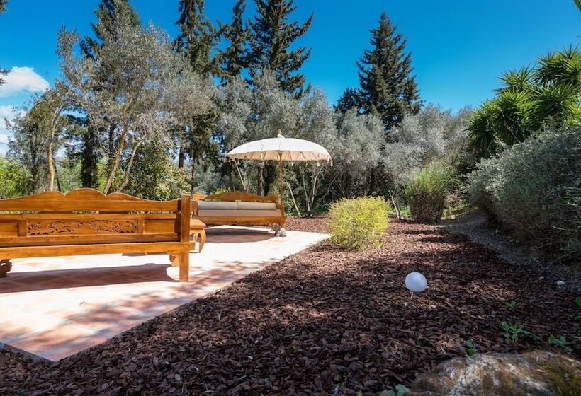 تختخواب و صبحانه Casa Baliza, Adults Only