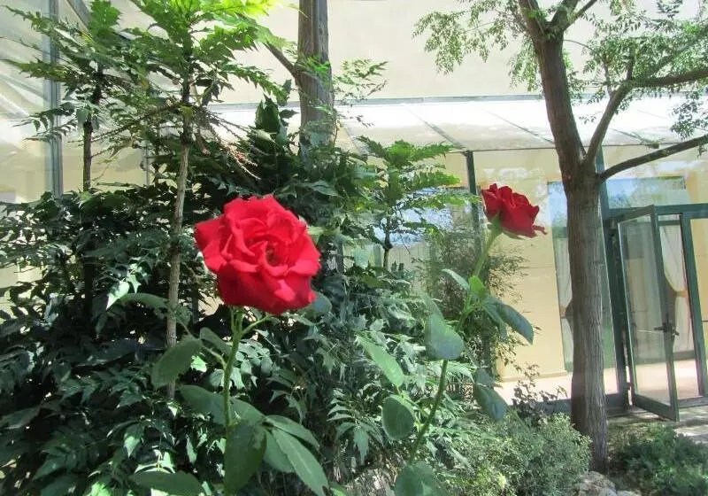 ホテル Lo Racó D En Carles