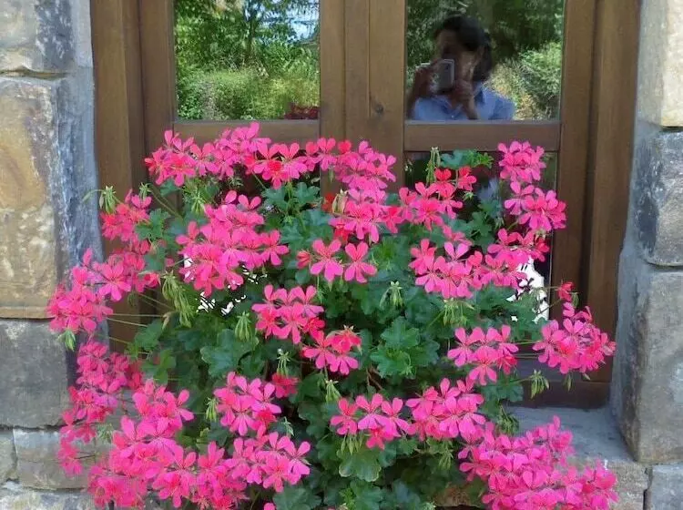 Majatalo Casa Fidela