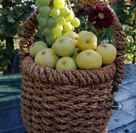 Majatalo Casa Rural La Picota