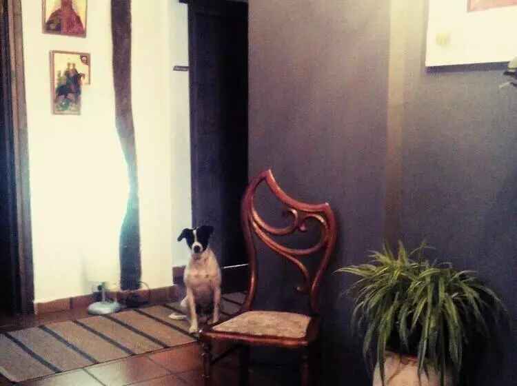 Peregrinando, Pensión Con Encanto