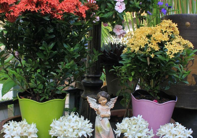 فندق صغير Eat N Sleep