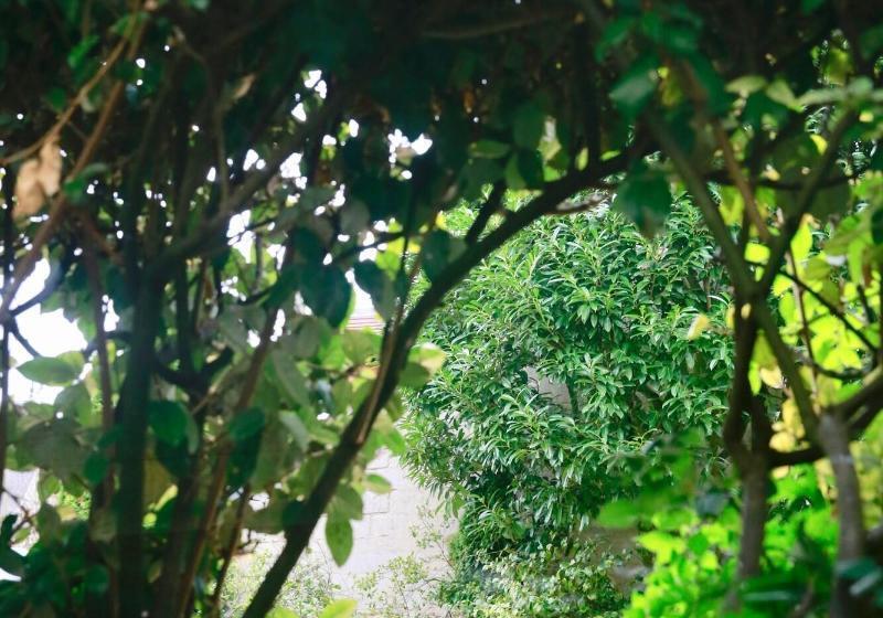 تختخواب و صبحانه Villa Talisman