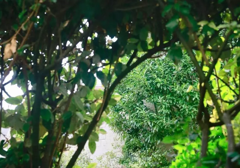 Aamiaismajoitus (B&B) Villa Talisman