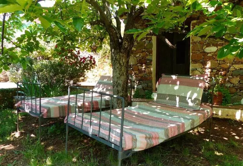 Casa Estrella