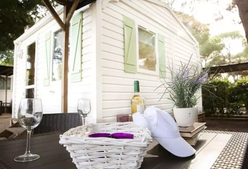 Hotelli Camping 3 Estrellas