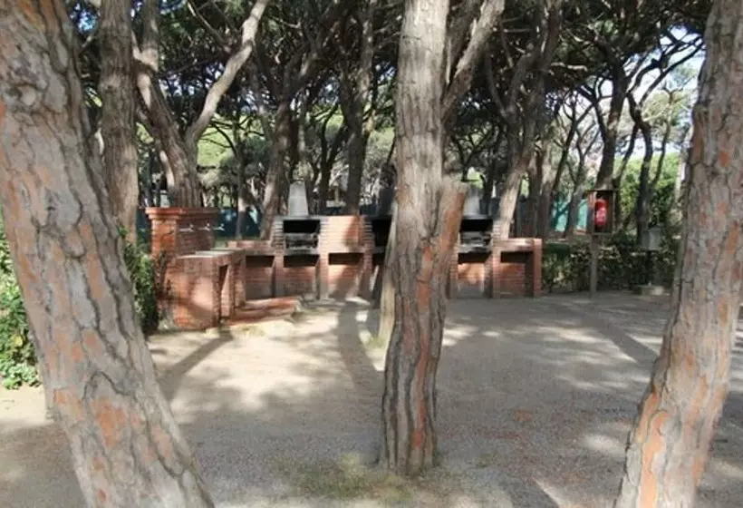 Hotelli Camping 3 Estrellas