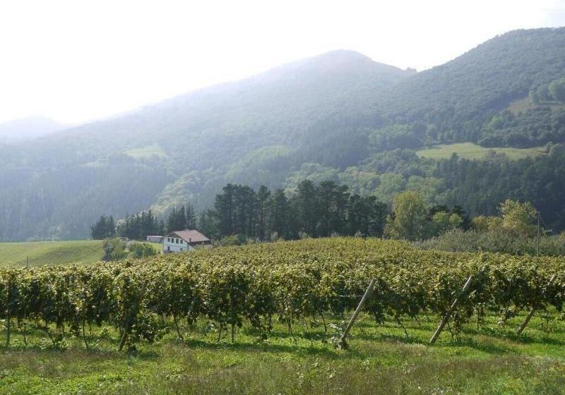 乡村酒店  Agroturismo Erlete Goikoa
