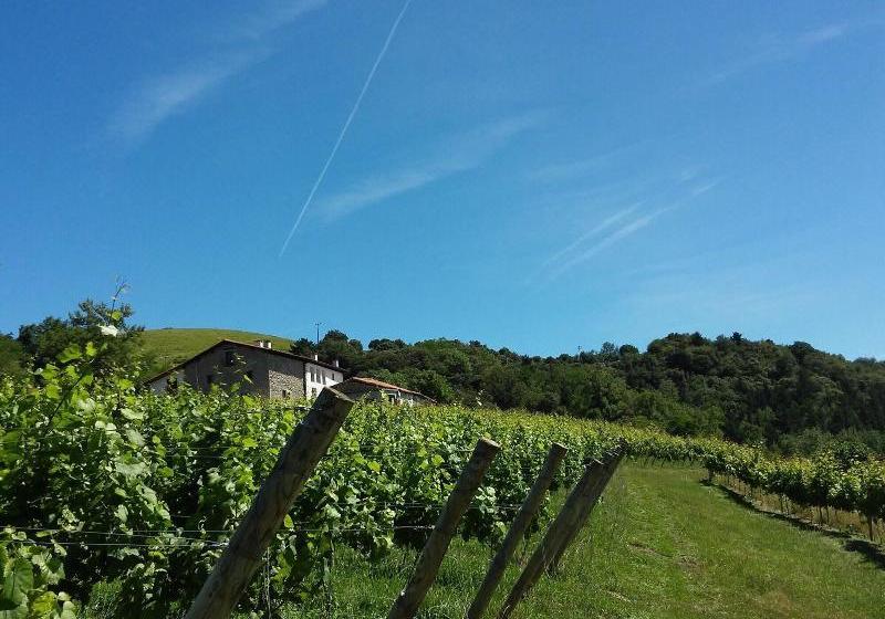 乡村酒店  Agroturismo Erlete Goikoa