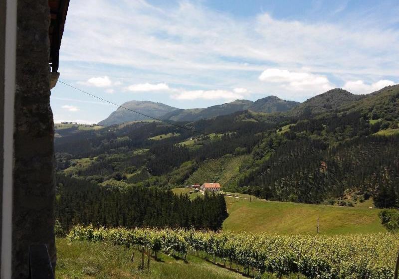 乡村酒店  Agroturismo Erlete Goikoa