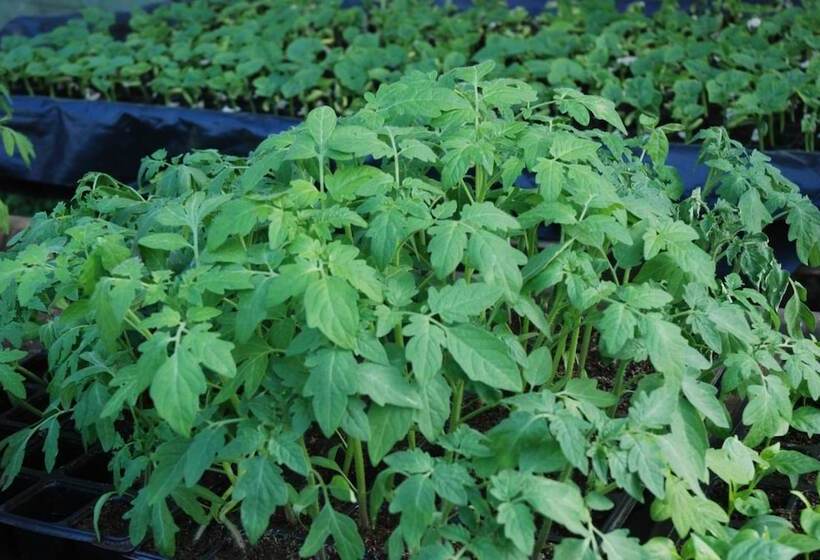 فندق ريفى La Casona De Amaido