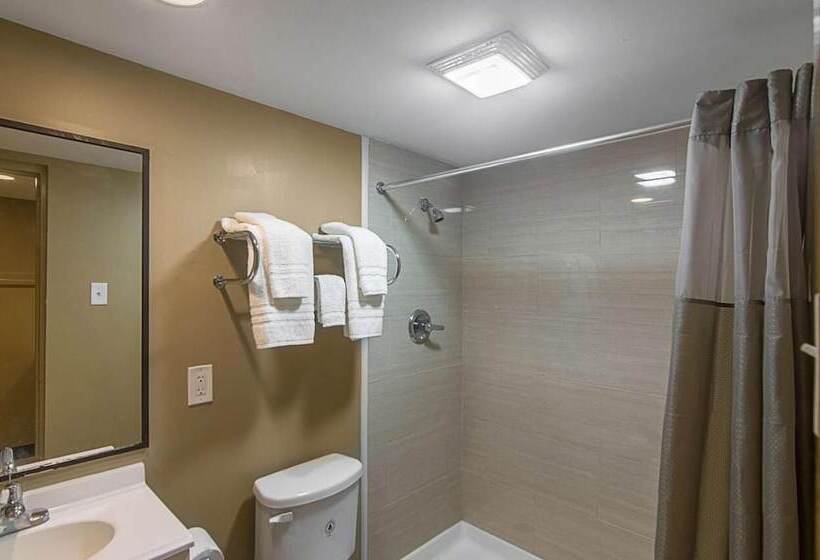 Otel Lonestar Inn And Suites