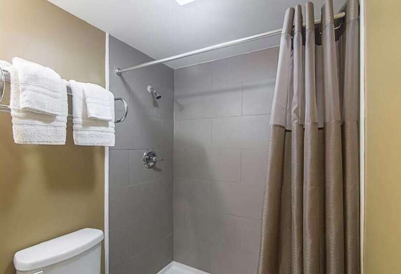 Otel Lonestar Inn And Suites