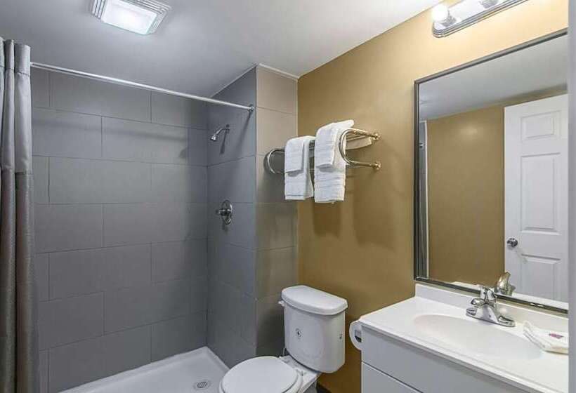 Otel Lonestar Inn And Suites