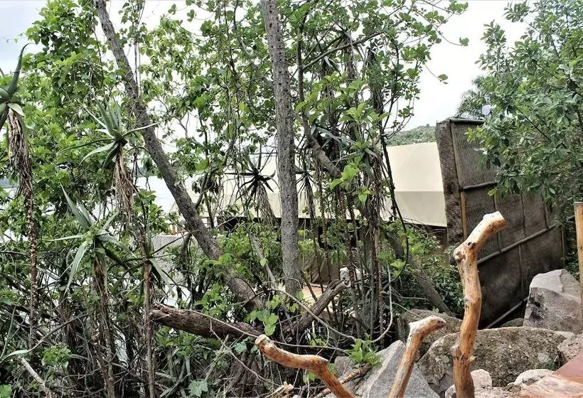 ホテル Wag Hill Lodge