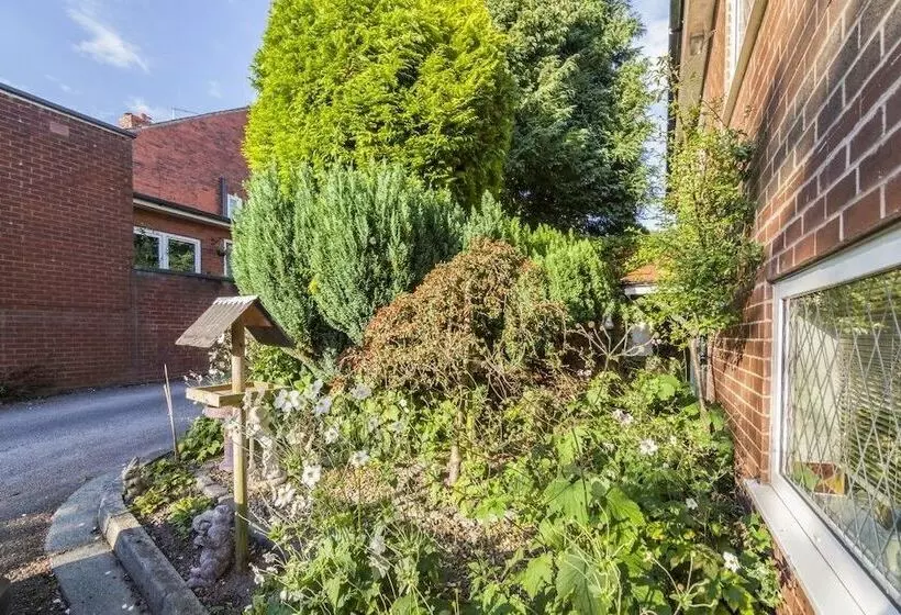 پانسیون Ivy Guest House