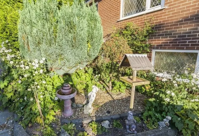 پانسیون Ivy Guest House