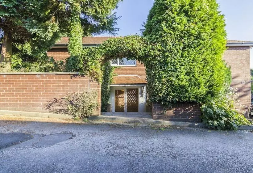 پانسیون Ivy Guest House
