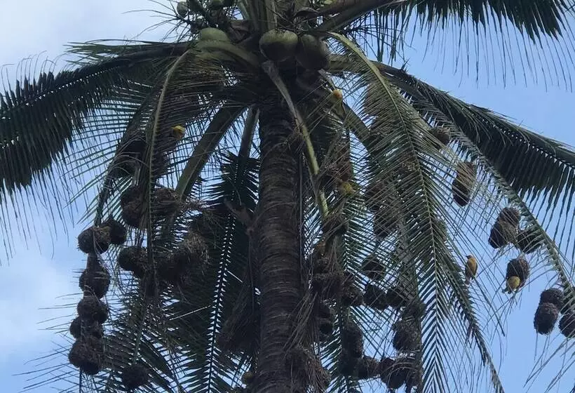 Aamiaismajoitus (B&B) Zanzibar Dream Lodge